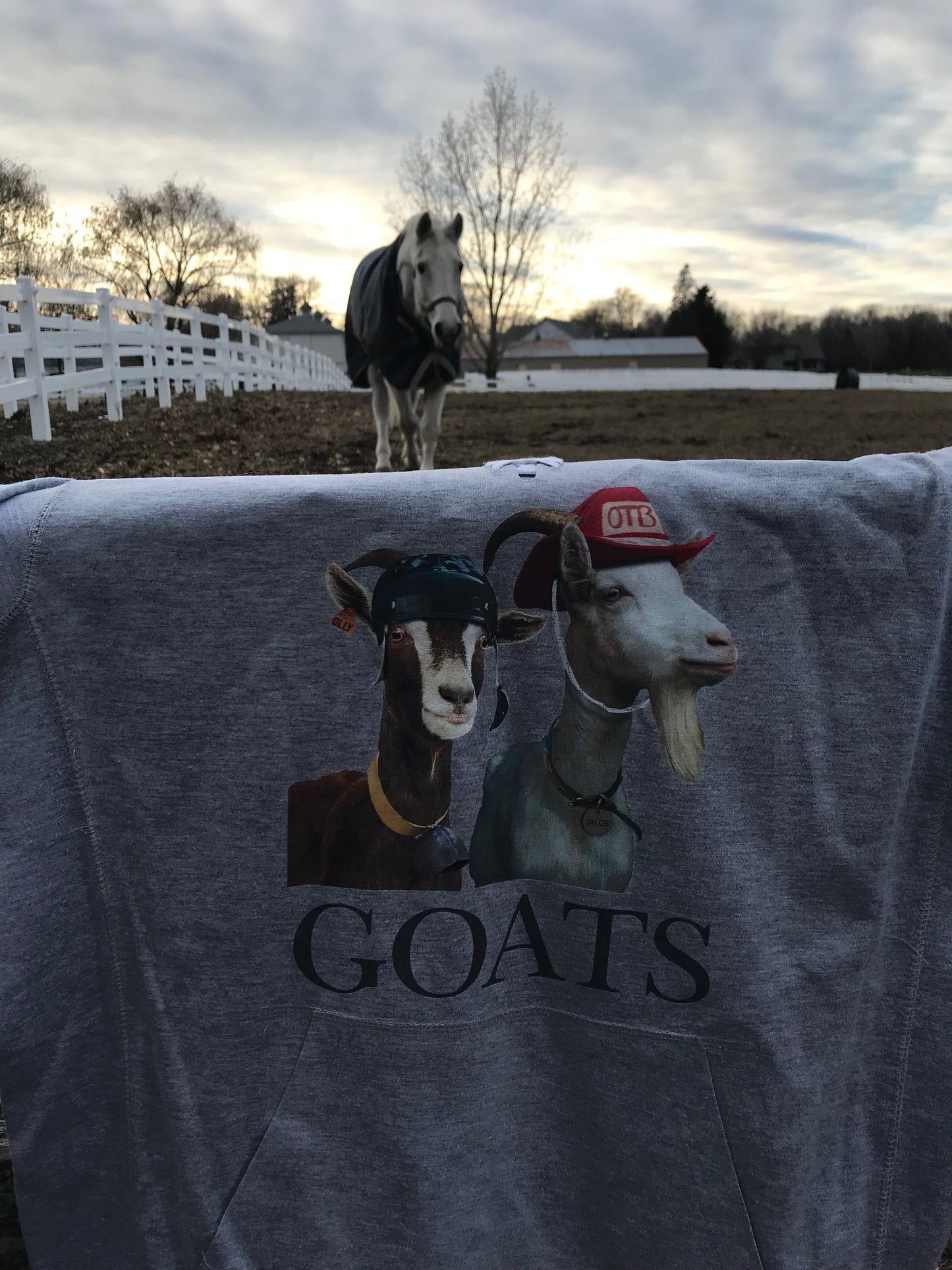 GOATS Lightweight Cotton Hoodie